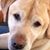 Paula Snider-Larson's profile image