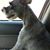 Athena McQuillan's profile image