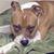 Eietu Oosawa's profile image