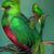 Ruben Aguilar's profile image