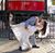 Alyna Shehzad's profile image