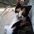 Liz Frazier's profile image