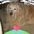 Brenda Aranda's profile image