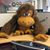 Tom Matese's profile image