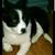 Randy Joe Baker's profile image