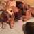 Julie Sokolowski Holly's profile image