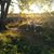 K.c. Raap's profile image