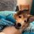 Rebecca Menke Bramlett's profile image