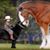 Anne Flanigan's profile image