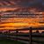 Kimberly Colston's profile image