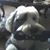 Jeff Marc Meeks's profile image