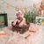 DavenSarah Okun's profile image
