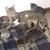 Michael Lee Bogart's profile image