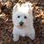 Cynthia Ann Lagasse's profile image