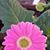 Linda Ratliff VanSant's profile image