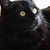 Lucy Isman's profile image