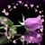 Kim Eckman's profile image