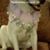 Tonua Appleby Curry's profile image