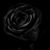 Marjorie Knox-Roundtree's profile image