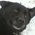 Bob Green's profile image