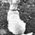 Thomas Targett's profile image