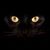 Hilda Teran-Franklin's profile image
