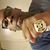 Anthony Mcneal's profile image