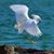 Sandy Bradfield's profile image