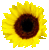 Karen C.'s profile image