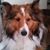 Corinne Riley-McFarren's profile image