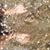 Wanda Lynn Baier's profile image