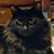 Stacy Reibsome's profile image