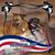 Donna Christian Jackiewicz's profile image