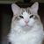Kelly Diane Bragg's profile image