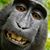 Greg Harrod's profile image