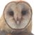 Terry L. Wise's profile image