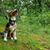 Paul Roesner's profile image