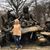 Darla Stephenson Kaiser's profile image