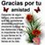 Gabriela Honey Gama's profile image