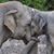 Joy Palmieri's profile image
