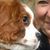 Suzanne Ritchie Cuesta's profile image