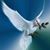 Amy Wesolowski Ludwig's profile image