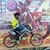Sandy Iwan's profile image