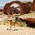 Shellie Barnard Phillips's profile image