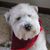 Deanna Ellett's profile image