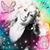 Kimberly Brown Freilich's profile image