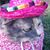 Leigh Ann Wagor's profile image