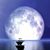 Susan Cain Fields's profile image