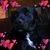 Brian Cantwell's profile image