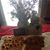 Deborah Jaquith's profile image
